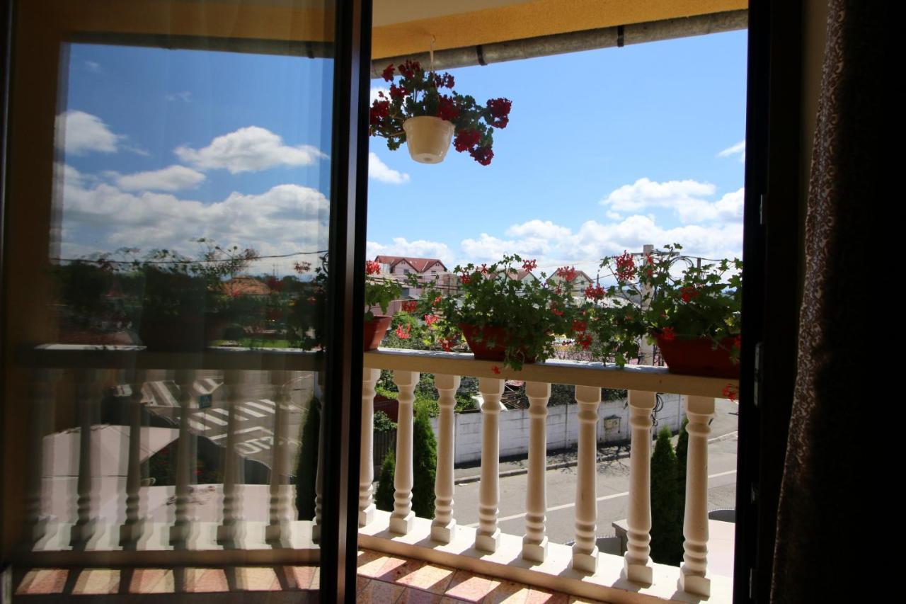 Pensiunea Nelu & Klein Sibiu Exteriér fotografie